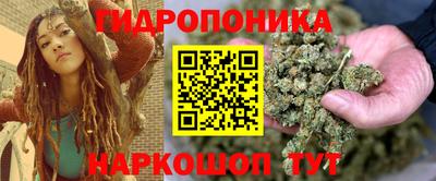 шишки Канаш