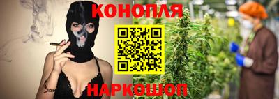 шишки Канаш