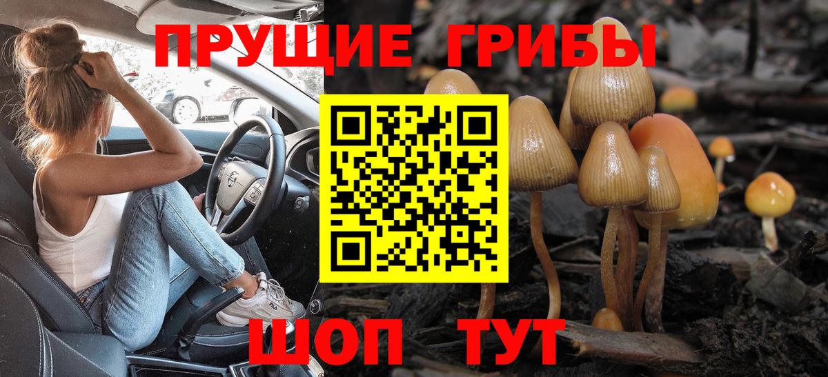 Алапаевск  Псилоцибиновые грибы GOLDEN TEACHER  Вход с VPN 